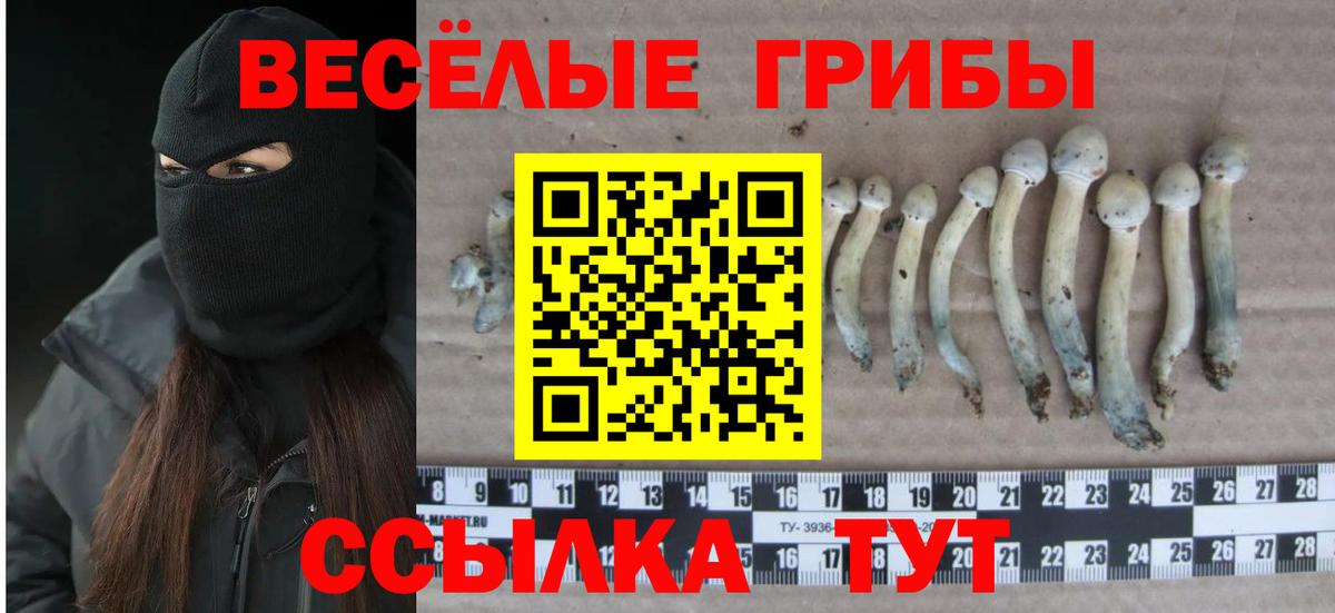 Октябрьский  Псилоцибиновые грибы GOLDEN TEACHER  Псилоцибиновые грибы MAGIC MUSHROOMS  Вход с VPN 