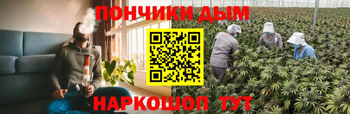 Бошки марихуана индика  Вход с VPN  Октябрьский  МАРИХУАНА MAZAR 